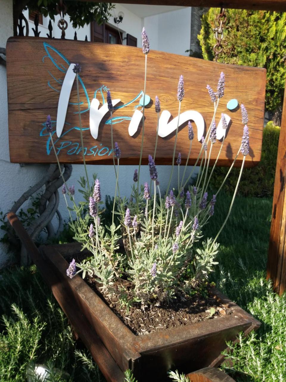 Apartamento Pansion Irini Uranópolis Exterior foto